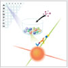 "It is Now Even Easier to Order Luminex Assays from R&D Systems" It is Now Even Easier to Order Luminex Assays from R&D Systems