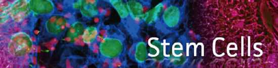 stem cells enews