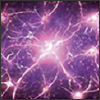 "Reorganizing Lipid Rafts Disrupting Akt Signaling" Reorganizing Lipid Rafts Disrupting Akt Signaling