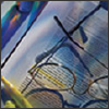 "Signaling Pathways Involved in Epilepsy" Signaling Pathways Involved in Epilepsy