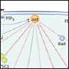 "Explore Our Resources for the Akt Signaling Pathway" Explore Our Resources for the Akt Signaling Pathway