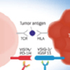 vsig-3/vista signaling