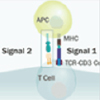 high sensitivity ELISA