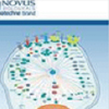 PI3K-AKT Signaling