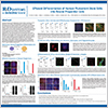 Neural Progenitor Cells Analyzed by Single-Cell Western