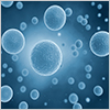 "Small Molecules for Differentiating NSCs" Small Molecules for Differentiating NSCs