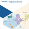 Regulatory T Cell Brochure