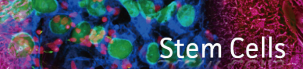 stem cells enews