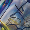"Using Epithelial Stem Cells to Model Human Disease - A Review" Using Epithelial Stem Cells to Model Human Disease - A Review