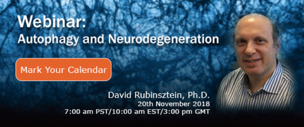 Autophagy and Neurodegeneration Webinar