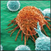 investigating immuno-oncology
