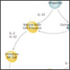 Innate Lymphoid pathways