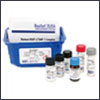 "New R&D Systems ELISA for GIT1" New R&D Systems ELISA for GIT1