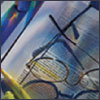 "MiMPCs: A Therapeutic Option for Nerve Regeneration?" MiMPCs: A Therapeutic Option for Nerve Regeneration?