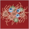 "Small Molecules for Coagulation/Thrombosis Research" Small Molecules for Coagulation/Thrombosis Research