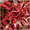 "Small Molecules for Coagulation/Thrombosis Research" Small Molecules for Coagulation/Thrombosis Research