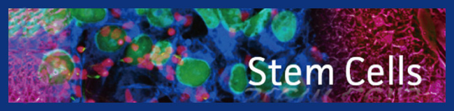 stem cells enews