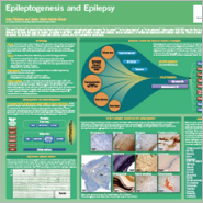 New Epilepsy Poster from Tocris