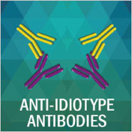Anti-Idiotype Antibodies