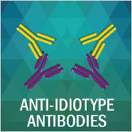 Anti-Idiotype Antibodies