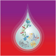 Multi-analyte Immunoassays in 3 Complementary Formats