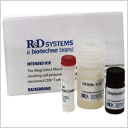 MagCellect Mouse Hematopoietic Cell Lineage Depletion Kit