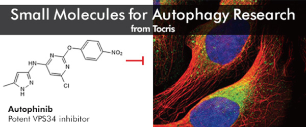 Small Molecules for Autophagy Research - from Tocris