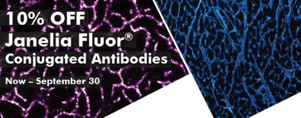 10% OFF Janelia Fluor Conjugated Antibodies