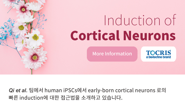 #cardiomyocyte  #iPSC #small malecule  #Tocris #stem cell