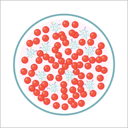 Cloudz T Cell Activation Kit