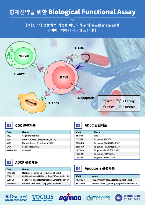 Protein, cell culture, reconstitute, prodots, gmp, media, media preparation, , woongbee, , , ܹ