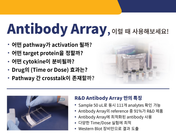 Protein, cell culture, reconstitute, prodots, gmp, media, media preparation, 웅비, woongbee, 컬쳐, 배지, 단백질