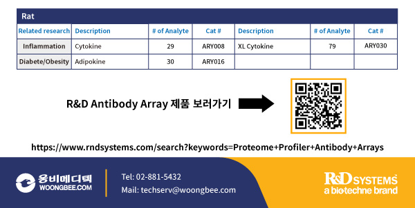 Protein, cell culture, reconstitute, prodots, gmp, media, media preparation, 웅비, woongbee, 컬쳐, 배지, 단백질