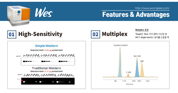 GMP, GMP protein, Cell Therapy, IL-2 GMP