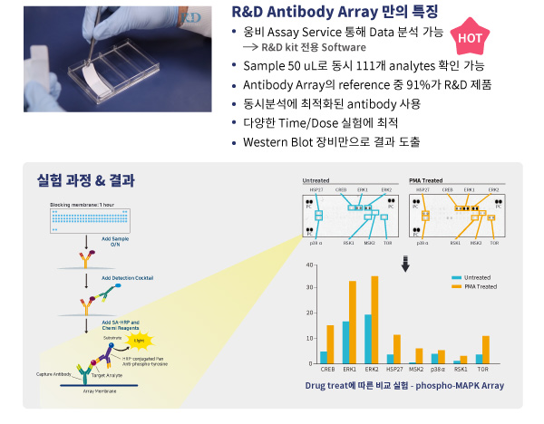 Protein, cell culture, reconstitute, prodots, gmp, media, media preparation, , woongbee, , , ܹ