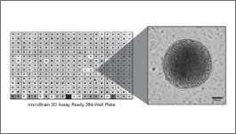 Wide selection of BMEs and other ECMs for 3-D culturing