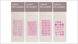 Wide selection of BMEs and other ECMs for 3-D culturing