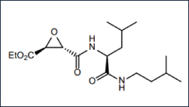 Wide selection of BMEs and other ECMs for 3-D culturing