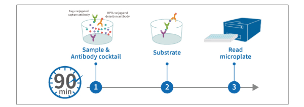 Protein, cell culture, reconstitute, prodots, gmp, media, media preparation, , woongbee, , , ܹ