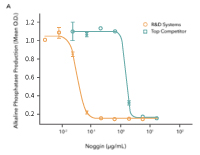 Comparison of the bioactivity of R&D Systems Recombinant Human Noggin and a leading competitors Noggin indicates that the R&D Systems protein displays 30-fold higher activity.