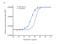 Comparison of the bioactivity of R&D Systems Recombinant Human R-Spondin 1 and a leading competitors R-Spondin 1 shows that the R&D Systems protein displays 7-fold higher activity.