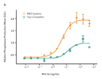 Comparison of the bioactivity of R&D Systems Recombinant Human R-Spondin 1 and a leading competitors R-Spondin 1 shows that the R&D Systems protein displays 7-fold higher activity.