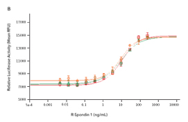 Comparison of the bioactivity of three different lots of R&D Systems Recombinant Human R-Spondin 1 demonstrates lot-to-lot consistency in the protein produced from three different manufacturing runs.